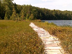 IAT; Langlade County Arboretum, WI